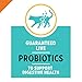Purina Pro Plan High Protein Cat Food With Probiotics for Cats, Salmon and Rice Formula - 7 lb. Bag