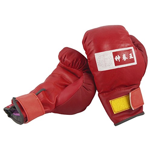 Best punching gloves and mits list