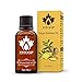 Dragon Honor NEW Lymphatic Drainage Ginger Oil [ 100% PURE Natural ] 30ml