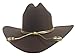 King County Sheriff Hat Brown Lined Cowboy Western Gold Cord LG/XL Zombie Hunter