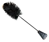 2 in 1 Exquisite Ostrich Feather Tickler and Leather with Lace Whip by BLISS BOUNDARY