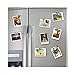 FirstCover Refrigerator Magnets 20 Pcs Decorative Cute Butterfly Fridge Magnets Kitchen Colorful Magnets Office Magnets Fun Magnets Whiteboard Dry Erase Board Magnets (20 Yellow Butterfly)
