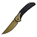 Buckshot Knives Thumb Open Spring Assisted Stainless Steel Handle Filet Pocket Knife (PBK210GD)