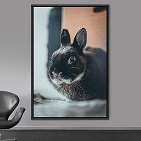 signwin Framed Canvas Wall Art Bunny Animals Bedroom...