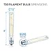 Hyperikon T10 Dimmable LED Filament Bulb, 5W (40W Equivalent), 470 lumen, 2700K (Soft White Glow), E26 Base (Medium Screw Base), CRI 90+, 6-Pack