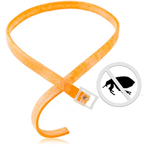 Flea and Tick Prevention Collar for Dogs Prevents and Treats Fleas Ticks 3 Month Protection (Orange)