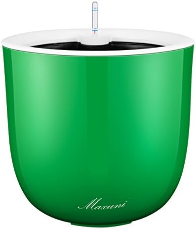 Selfwatering Planters Modern Decorative Planter Pot for All House Plants, Flowers, Herbs, African Violets, Succulents. Easy / Looks Great. (Dia.14" x 13", Green)