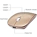 Rechargeable 2.4G Slim Wireless Mouse - Tsmine Optical Mice with USB Nano Receiver(Stored Within the Back of the Mouse) for Notebook, PC, Laptop, Computer, Windows / Android Tablet - Gold