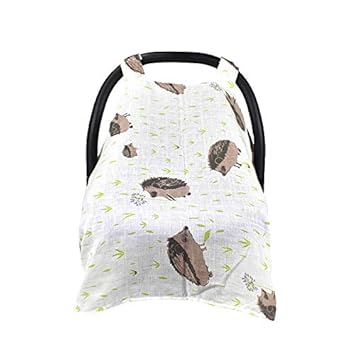 unisex stroller and carseat