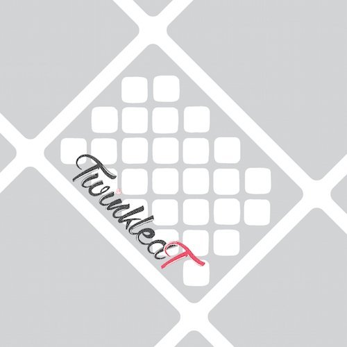 Original Fishnet Stencil Nail Vinyls By Twinkled T - 1 Sheet of 16 Stencils