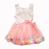 Kids Girls Princess Rose Garden Flower Petal Lace Ruffled Tulle Skirts Dresses (#6(Advice6-12Months), pink.)