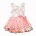 Kids Girls Princess Rose Garden Flower Petal Lace Ruffled Tulle Skirts Dresses (#6(Advice6-12Months), pink.)