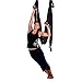 AGPTEK Deluxe Aerial Hammock Yoga Swing/Inversion/Sling, Flying Antigravity