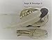 Sage Smudge Kit with White Sage Stick Shell Stand Feather and Directions