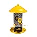 More Birds Sedona Screen Bird Feeder, 4 Feeding Ports, 2.8 lb Bird Seed Capacity