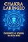 Livro Tudo Sobre Chakra Laríngeo: Curso completo Sobre Chakra Laríngeo +100 Ilustrações e técnicas