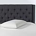 Beautyrest Latex Foam Pillow, Queen