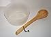 1 Gallon Sauna Single Handle Bucket with Liner and 16” Long LADLE