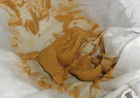 Ginger Beer Plant Paste Probiotic Amazon Co Uk Grocery