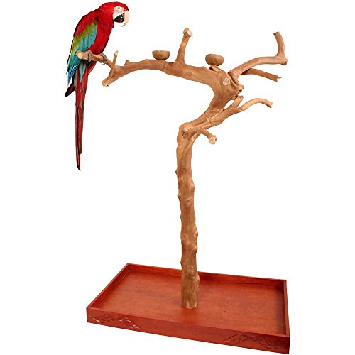 Java Duo Tree | Natural Hardwood Parrot Coffee Wood Playstand