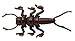 Nikko Stonefly Nymph Fishing Soft Bait, Brown
