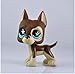 Five Stars Store Littlest Pet Shop Pet DOG Animal Child Girl Boy Figure Loose Cute