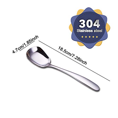 Wenkoni 304 Stainless Steel Spoons,Soup Spoons,Rice Spoons,Table Spoons,Dinner Spoons.(Color:Silver)