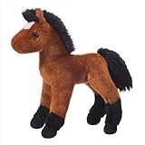 Athena Bay Foal 10