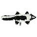 Hyper Pet 48847 Real Skinz Dog Toy, Skunk,Black/White
