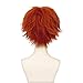 GOOACTION 11.8inch/30cm Male Short Anime Red Fluffy Wig for Nick Wilde Halloween Cosplay Costume Synthetic Hair Wigs