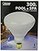 Feit Electric 300R/FL-12 300-Watt R40 12-Volt Pool/Spa Flood Reflector
