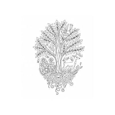 Buy Color Frame 3 Books In 1 Country Forest City Adult Coloring Book Spiral Bound March 31 16 Online In Turkey