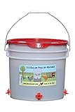 RentACoop Chicken Waterer - Horizontal Nipple Setup (3.5 gallon) (Red)