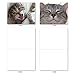 The Best Card Company - 10 All Occasion Blank Cat Cards (4 x 5.12 Inch) - Cute Assorted Bulk Card Set - Smitten Kittens M6485OCB