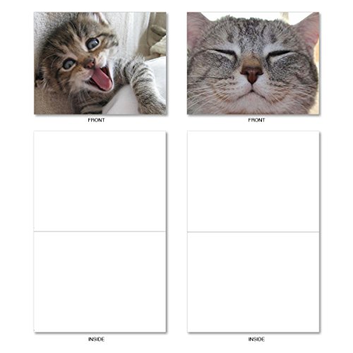 Kitten Themed Note Cards (Box of 10) - Assorted Cat 'Smitten Kitten' Blank Greeting Cards with Envelopes - Adorable All Occasion Cat and Animal Stationery 4 x 5.12 inch - NobleWorks M6485OCB - Thumbnail 4
