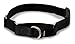 PetSafe Martingale Collar with Quick Snap Buckle, 1