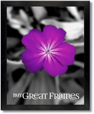 Set of 6 - 8x10 Gallery Black Wood Picture Frames and Clear Glass