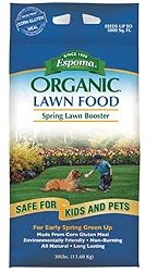 The 10 Best Lawn Fertilizer for Spring & Weed Killer 2020 Reviews