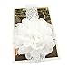 Baby Girls Headbands Chiffon Flower Soft Lace Band Big Bow Hair Accessories for Newborn Infants Toddlers Girls 12PCS