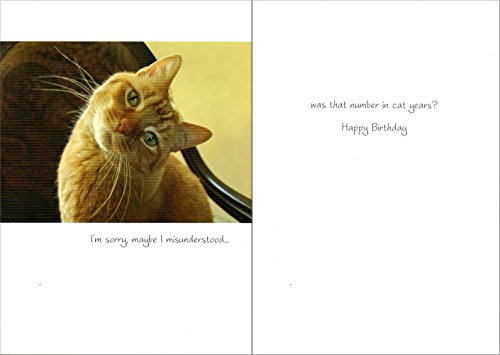 CAT LOVERS HILARIOUS BIRTHDAY CARDS - INCLUDES MANY CAT THEMES - 48 CARDS {jg}-NOTECARDS WITH ENVELOPES,ORGANIZER, , ASSORTED CARDS,HALLMARK,AMERICAN GREETINGS - Thumbnail 3