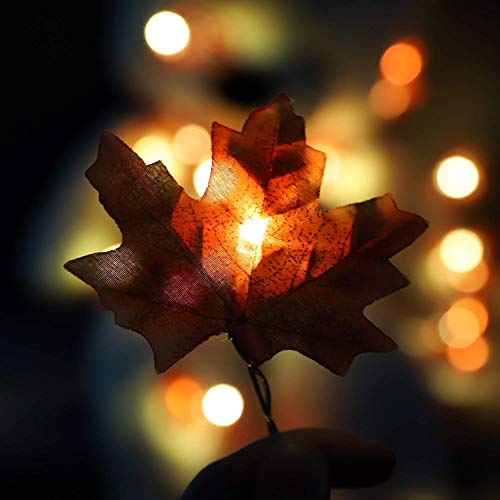 Christmas Thanksgiving Decorations Lighted Fall Maple Leaf Garland Battery Operated Lights with 20 LED (9.85 Feet) for Christmas Thanksgiving Holidays Indoor or Outdoor Decoration (1 PACK Maple Leaf)