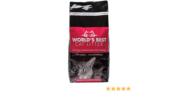 best cat litter amazon