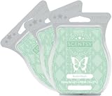 Scentsy, Bonfire Beach, Wickless Candle Tart Warmer Wax 3.2 Oz Bar, 3-pack (3)
