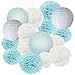 Furuix Baby Shower Decorations for Boy 16 pcs White Baby Blue Tissue Pom Pom Flower and Paper Lanterns First Birthday Party Decorations Frozen Baby Shower Party Decoration Set for Boy
