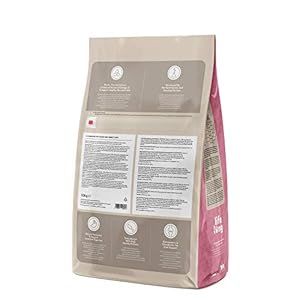 Marchio Amazon- Lifelong Complete - Alimento secco completo per gatti adulti con salmone e riso, 1 x 10 kg