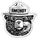 Smokey the Bear Firefighting WILDFIRE sticker 4