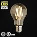 Lucero LED Filament Healthy Edison Light Bulb - Dimmable Warm White 6W - 60W Equivalent UL Listed A19 E26/27 Base 2700K
