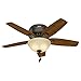 Hunter Fan Company, 51082, 42 inch Newsome Premier Bronze Low Profile Ceiling Fan with LED Lights and Pull Chain