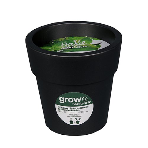 Herstera Garden 12211225 Kit grow albahaca Antracita 25x24x25 cm ...