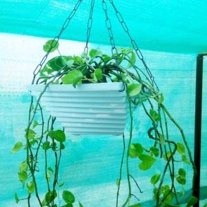 Twister White Hanging Chain Pot/Decorative Twister Pot